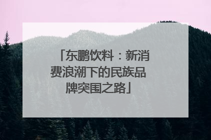 东鹏饮料：新消费浪潮下的民族品牌突围之路