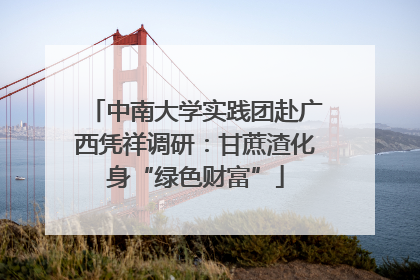 中南大学实践团赴广西凭祥调研：甘蔗渣化身“绿色财富”