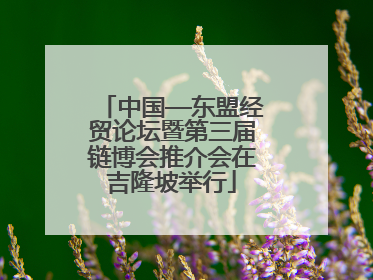 中国—东盟经贸论坛暨第三届链博会推介会在吉隆坡举行