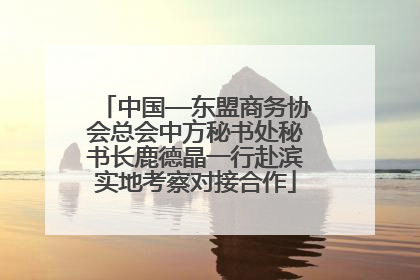 中国—东盟商务协会总会中方秘书处秘书长鹿德晶一行赴滨实地考察对接合作
