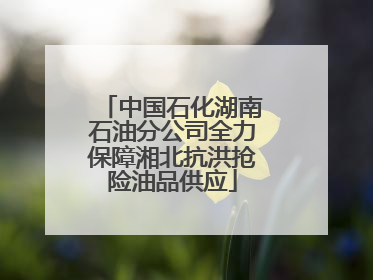 中国石化湖南石油分公司全力保障湘北抗洪抢险油品供应