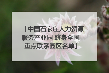 中国石家庄人力资源服务产业园 跻身全国重点联系园区名单