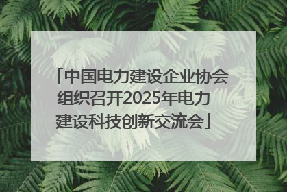 中国电力建设企业协会组织召开2025年电力建设科技创新交流会