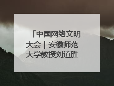 中国网络文明大会｜安徽师范大学教授刘道胜：“E”览徽风，构筑中华民族共有精神家园