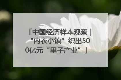 中国经济样本观察｜“内衣小镇”织出500亿元“里子产业”