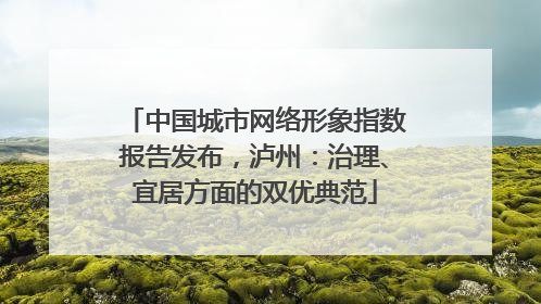中国城市网络形象指数报告发布，泸州：治理、宜居方面的双优典范