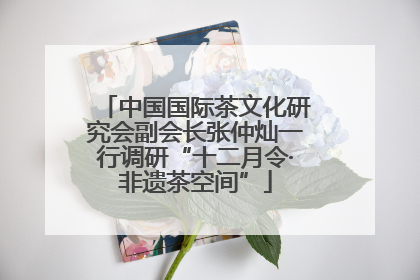 中国国际茶文化研究会副会长张仲灿一行调研“十二月令·非遗茶空间”