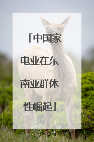 中国家电业在东南亚群体性崛起
