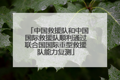中国救援队和中国国际救援队顺利通过联合国国际重型救援队能力复测