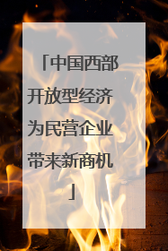 中国西部开放型经济为民营企业带来新商机