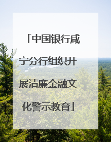 中国银行咸宁分行组织开展清廉金融文化警示教育