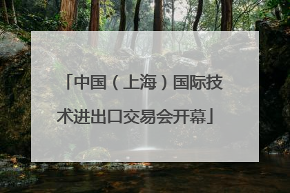 中国（上海）国际技术进出口交易会开幕