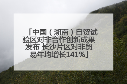 中国（湖南）自贸试验区对非合作创新成果发布 长沙片区对非贸易年均增长141%