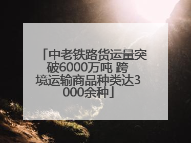 中老铁路货运量突破6000万吨 跨境运输商品种类达3000余种