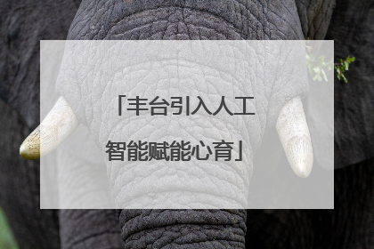 丰台引入人工智能赋能心育