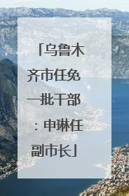 乌鲁木齐市任免一批干部：申琳任副市长