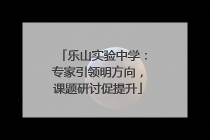 乐山实验中学：专家引领明方向，课题研讨促提升