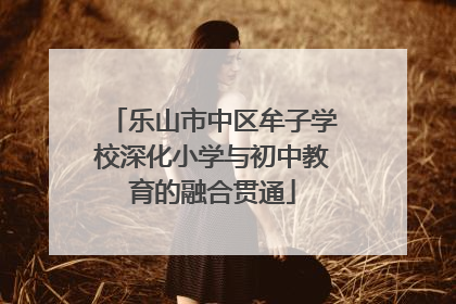 乐山市中区牟子学校深化小学与初中教育的融合贯通