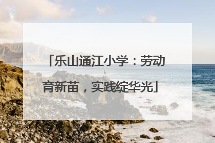 乐山通江小学：劳动育新苗，实践绽华光