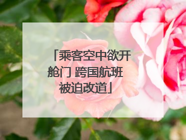 乘客空中欲开舱门 跨国航班被迫改道