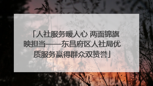 人社服务暖人心 两面锦旗映担当——东昌府区人社局优质服务赢得群众双赞誉