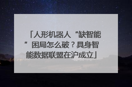 人形机器人“缺智能”困局怎么破？具身智能数据联盟在沪成立