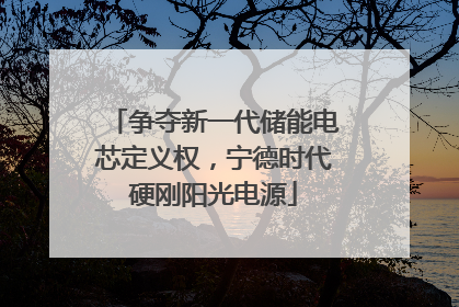 争夺新一代储能电芯定义权，宁德时代硬刚阳光电源