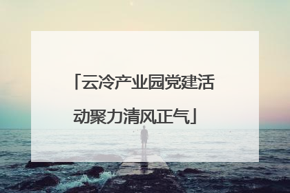 云冷产业园党建活动聚力清风正气