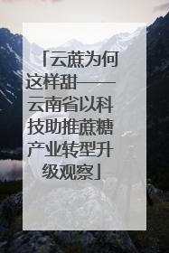 云蔗为何这样甜——云南省以科技助推蔗糖产业转型升级观察
