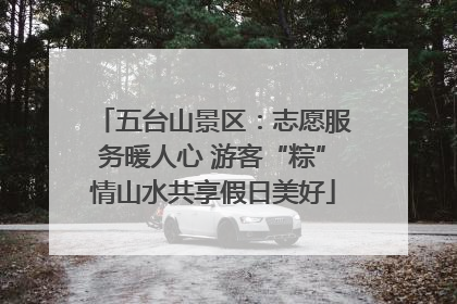 五台山景区：志愿服务暖人心 游客“粽”情山水共享假日美好