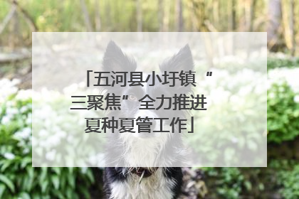 五河县小圩镇“三聚焦”全力推进夏种夏管工作