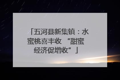 五河县新集镇：水蜜桃喜丰收 “甜蜜经济促增收”