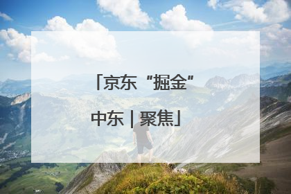 京东“掘金”中东｜聚焦