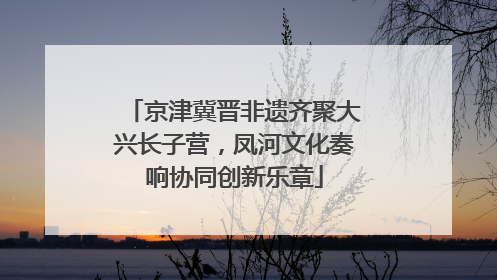 京津冀晋非遗齐聚大兴长子营，凤河文化奏响协同创新乐章