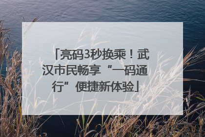 亮码3秒换乘！武汉市民畅享“一码通行”便捷新体验