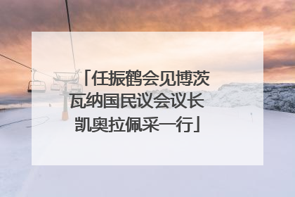 任振鹤会见博茨瓦纳国民议会议长凯奥拉佩采一行