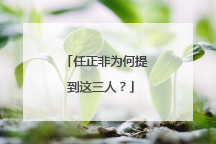 任正非为何提到这三人？