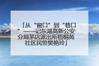 从“窗口”到“巷口”——记东湖高新公安分局茅店派出所梧桐苑社区民警樊艳玲