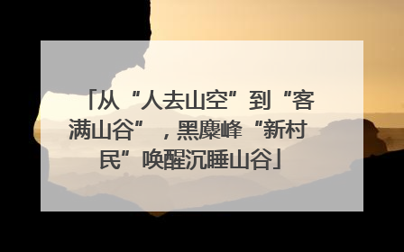 从“人去山空”到“客满山谷”，黑麋峰“新村民”唤醒沉睡山谷