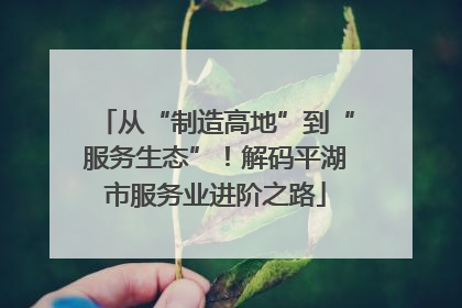 从“制造高地”到“服务生态”！解码平湖市服务业进阶之路