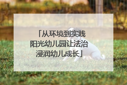 从环境到实践 阳光幼儿园让法治浸润幼儿成长