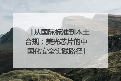 从国际标准到本土合规：美光芯片的中国化安全实践路径