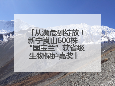 从濒危到绽放！新宁崀山600株“国宝兰”获省级生物保护嘉奖