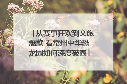 从赛事狂欢到文旅爆款 看常州中华恐龙园如何深度破圈