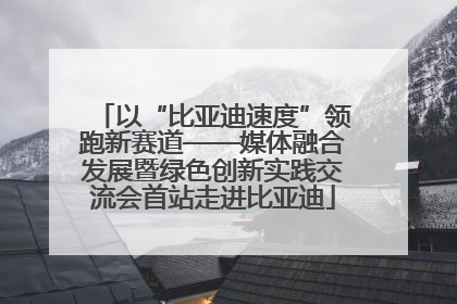 以“比亚迪速度”领跑新赛道——媒体融合发展暨绿色创新实践交流会首站走进比亚迪