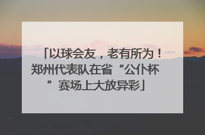 以球会友，老有所为！郑州代表队在省“公仆杯”赛场上大放异彩