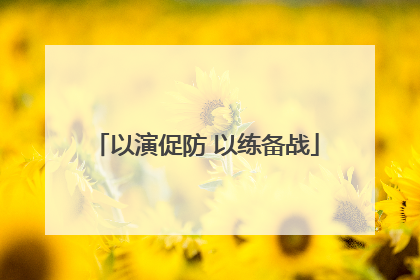 以演促防 以练备战