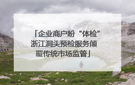 企业商户盼“体检” 浙江洞头预检服务颠覆传统市场监管