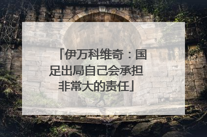 伊万科维奇：国足出局自己会承担非常大的责任