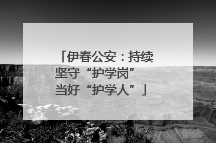 伊春公安：持续坚守“护学岗” 当好“护学人”